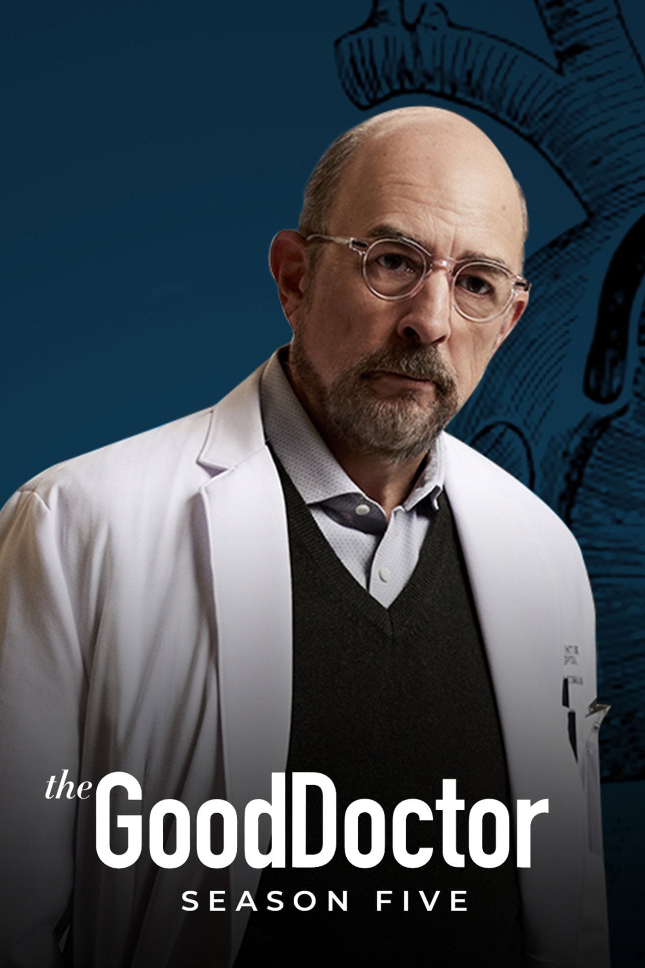 The Good Doctor Sezon 5