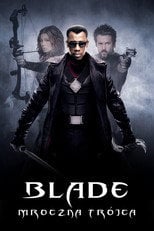 Blade: Mroczna Trójca - Sprawdź dostępność filmu na Vider