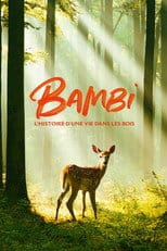 Bambi. Opowieść leśna Cały Film - Vider