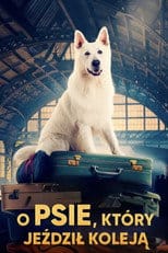 O psie, który jeździł koleją Cały Film - Vider