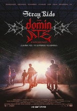 스트레이 키즈: 더 도미네이트 익스피리언스 - Sprawdź dostępność filmu na Vider