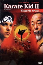 Karate Kid 2 Cały Film - Vider