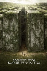 Więzień labiryntu - Sprawdź dostępność filmu na Vider