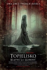 Topielisko. Klątwa La Llorony - Sprawdź dostępność filmu na Vider