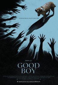 Good boy - Sprawdź dostępność filmu na Vider
