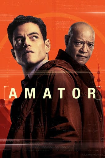 Amator Cały Film - Vider