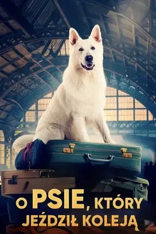 O psie, który jeździł koleją Cały Film - Vider
