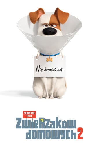 Sekretne życie zwierzaków domowych 2 Cały Film - Vider
