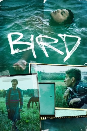 Bird - Sprawdź dostępność filmu na Vider