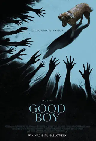 Good boy Cały Film - Vider