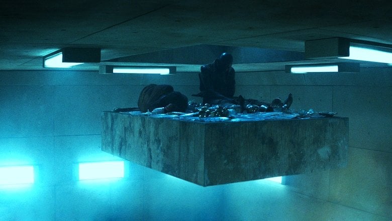Platforma - Sprawdź dostępność filmu na Vider