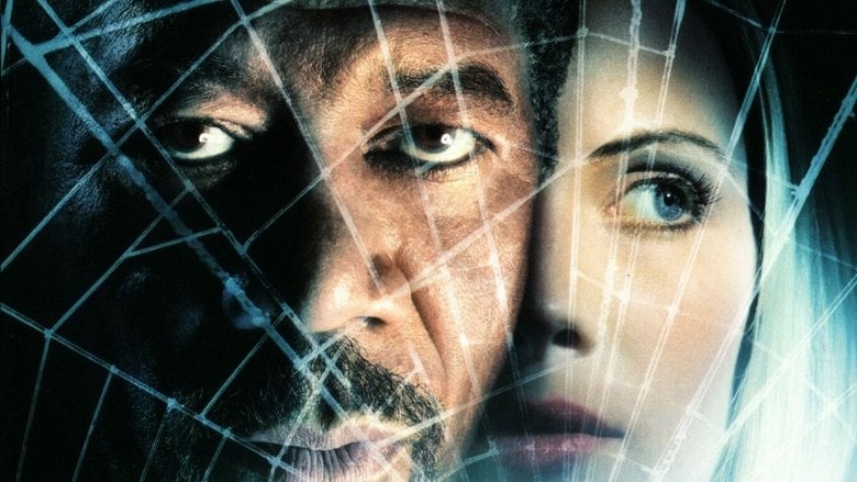 W Sieci Pająka - Sprawdź dostępność filmu na Vider