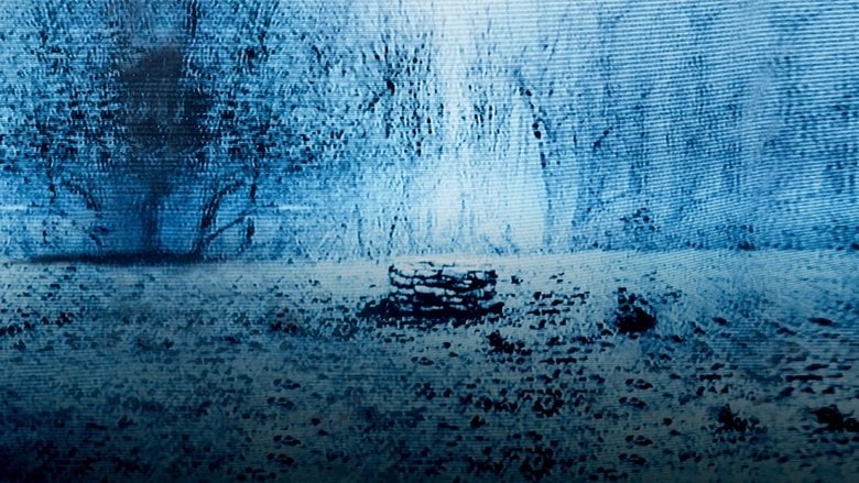 The Ring - Sprawdź dostępność filmu na Vider