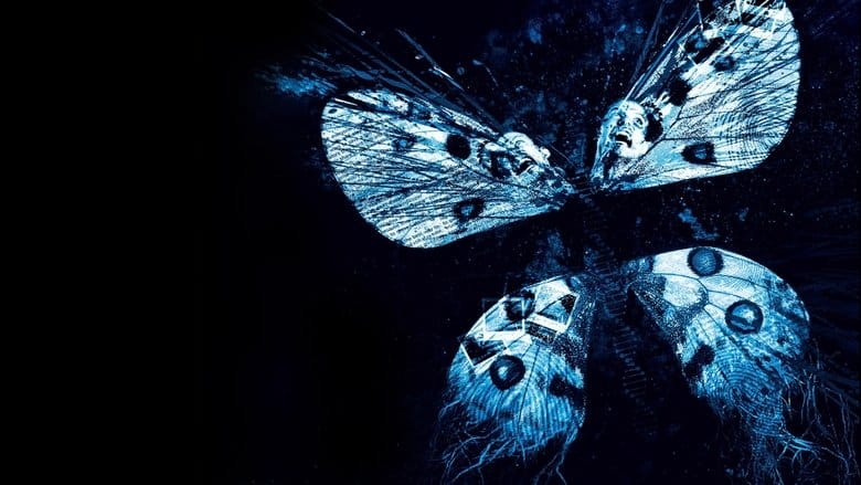 Efekt Motyla 3 Cały Film - Vider