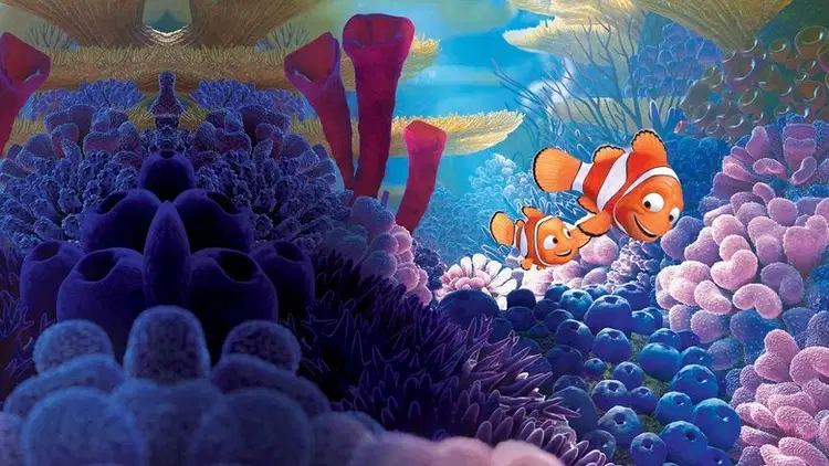 Gdzie jest Nemo Cały Film - Vider
