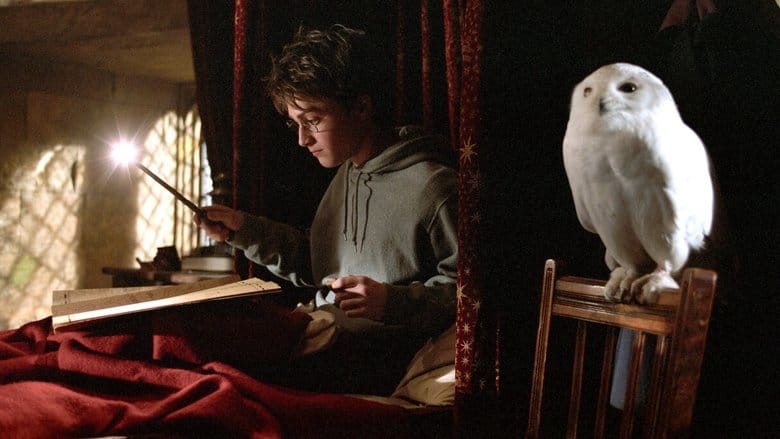 Harry Potter i więzień Azkabanu Cały Film - Vider