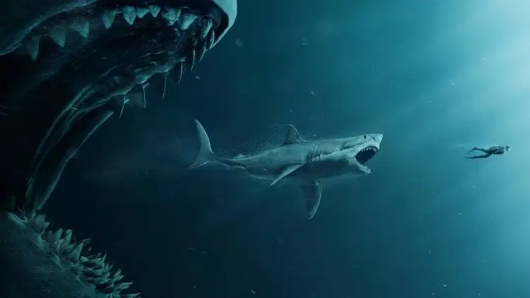 The Meg Cały Film - Vider