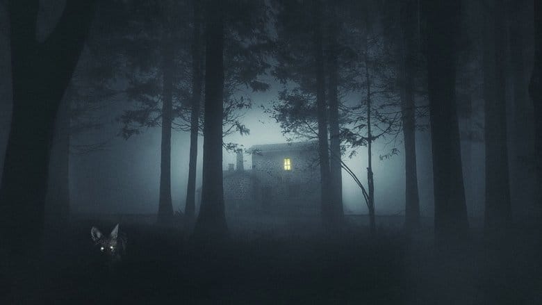 Miasteczko Shelby Oaks Cały Film - Vider