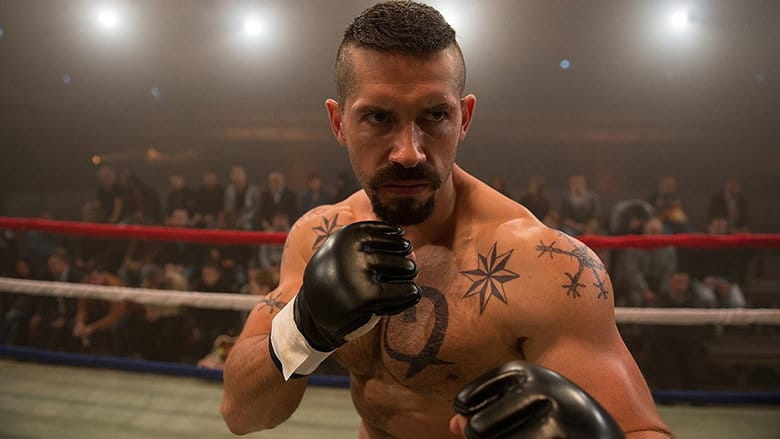 Champion 4: Walka o honor Cały Film - Vider