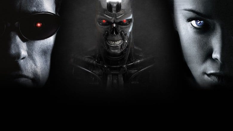 Terminator 3. Bunt maszyn Cały Film - Vider