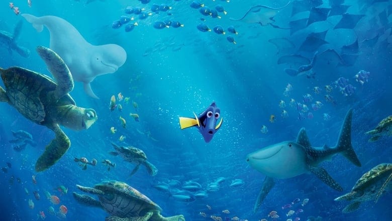 Gdzie jest Dory Cały Film - Vider
